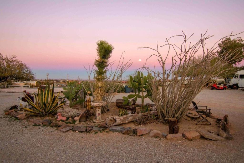 Joshua Tree Ranch House Motel - Downtown - Room #3 Экстерьер фото